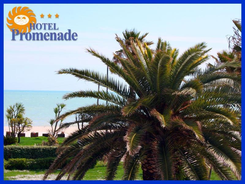 Hotel Promenade Porto SantʼElpidio Zewnętrze zdjęcie